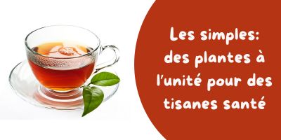 Les simples: plante médicinale pour tisane